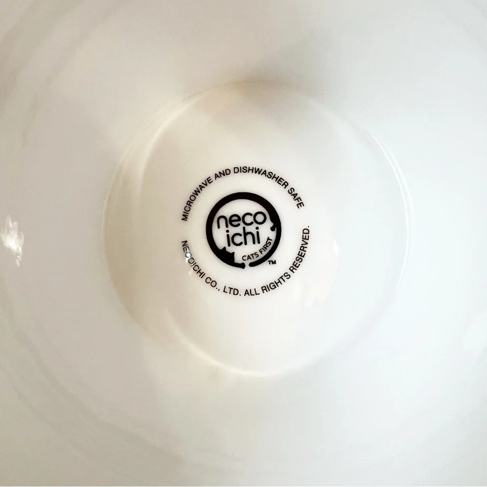 Raised Tilted Ergonomic Cat Feeder Bowl White